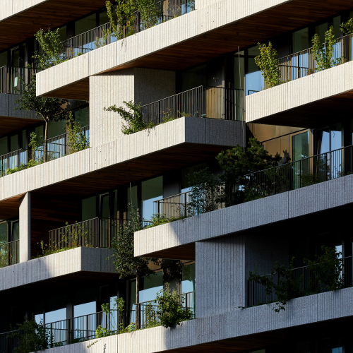hoogste punt Wonderwoods